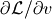 \partial \mathcal{L} / \partial v