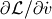 \partial \mathcal{L} / \partial \dot v